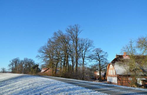 Deichkind - Reetdachhaus direkt am Elbdeich - Foto 36