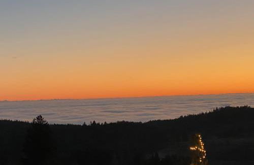 FeWo Pool, Sauna, Wellness, Gartenterrasse ENGELMEER - Foto 33