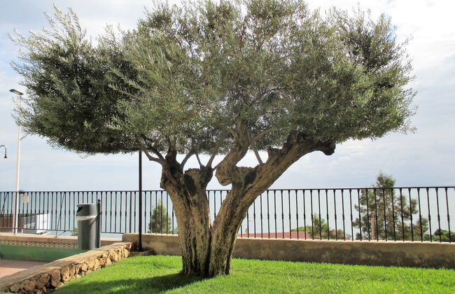 Apartamento a 500 metros de la playa - Foto 17