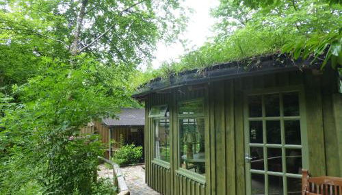 Ty Cefn Tregib - Foto 3, Garden