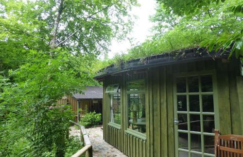 Ty Cefn Tregib - Photo 3