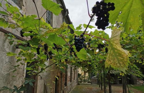 Schloss Gröbitz - Foto 29