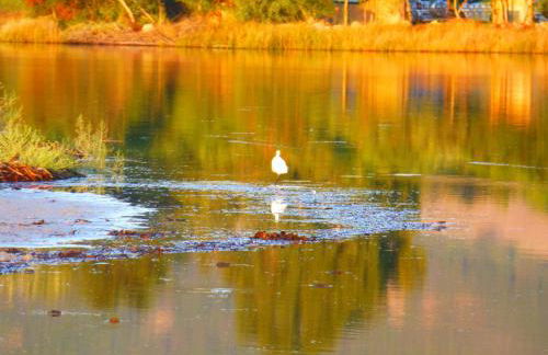 Comino Alto Agriturismo e Appartamenti - Foto 151