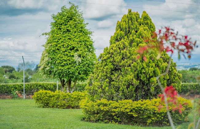 Hacienda Araucaria Habitacion 10 - Photo 1