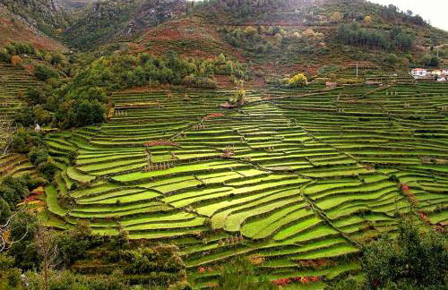 Casa da Ferreirinha - Foto 32