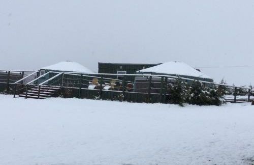 Green Yurt with Hot Tub - Sleeps 3 Parking & Pets - Photo 33