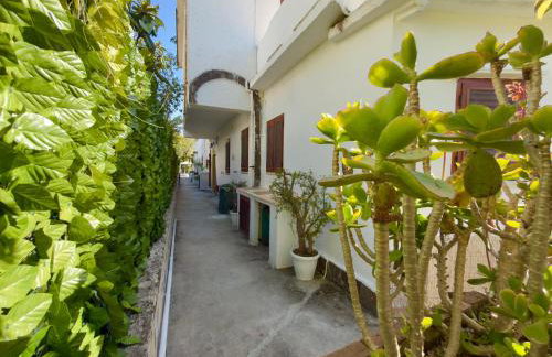 Villa Maica - Foto 16