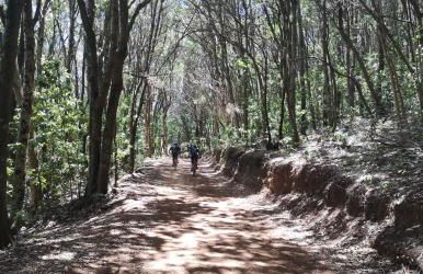 Casa Rural La Gustoza - Foto 5