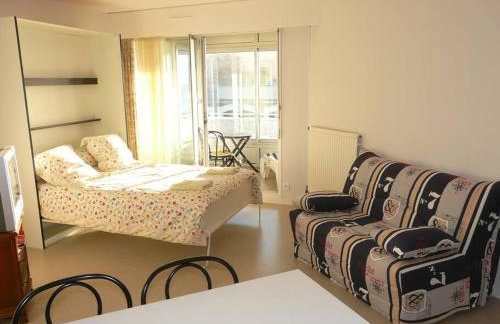 Face à la mer studio de 33m2 avec terrasse et wifi - Foto 9
