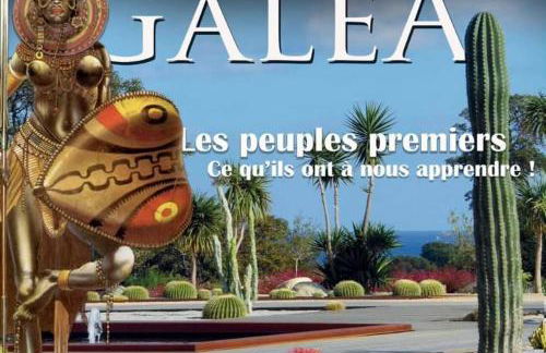 Les bougainvilliers - Foto 32