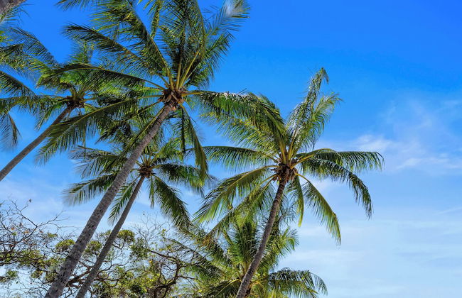 Trinity Beach Pacific - Foto 38