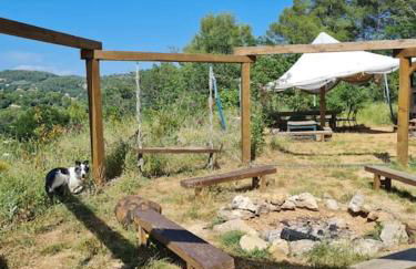 Cabayourte à la mauvaise herbe - Foto 11