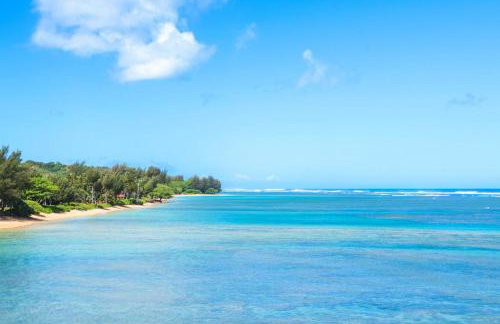 Anini Ohana Hale TVNC#4255 - Foto 15