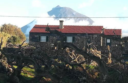 A Casa da Formosinha - Photo 13