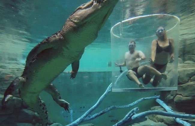 Zen Gem Pool Private Balcony Oceanview - Foto 20