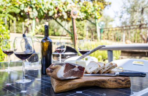 Sole Verde green house - Foto 58