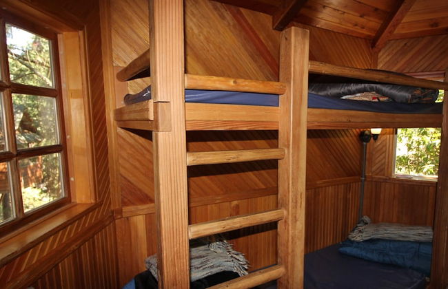 Out 'N' About Treehouse Treesort - Photo 37