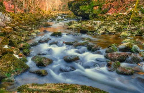 Ferienwohnung am Ilztal - Foto 14