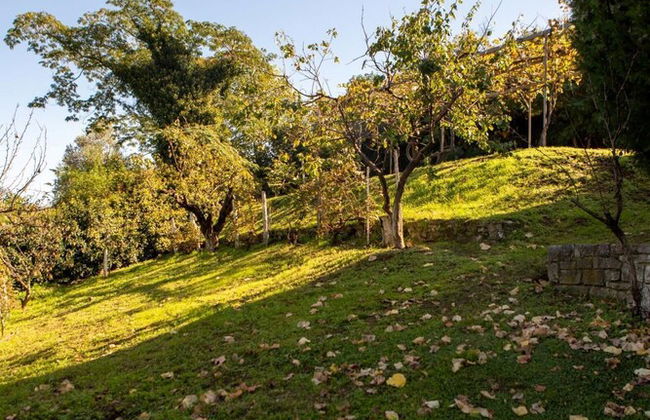 All Seasons Guest House - Foto 18