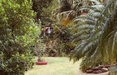 Sítio aconchegante em Sana ! - Photo 17