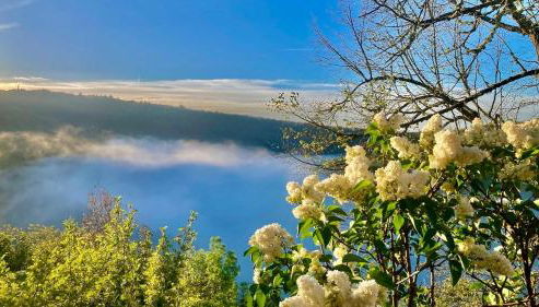 Lou Cambrou - Photo 4