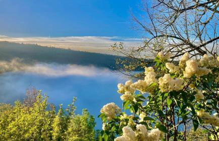 Lou Cambrou - Photo 4