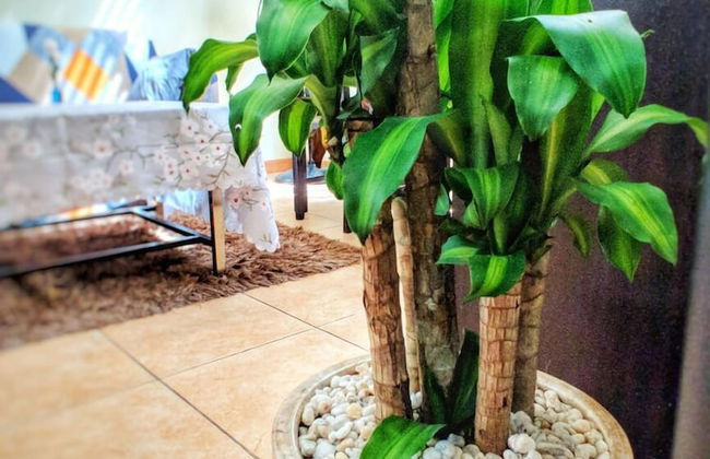 McKinley Park Residences - Foto 60