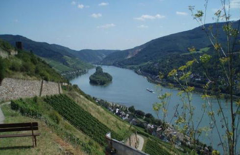 Weingut Theodor Nies - Foto 10