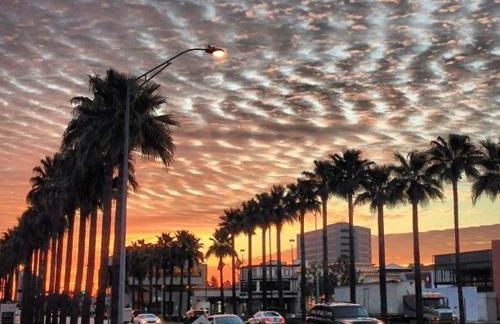 Highland Village Little Haven - Foto 59