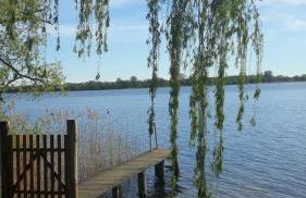 Ferienhaus am Schaalsee - Foto 11