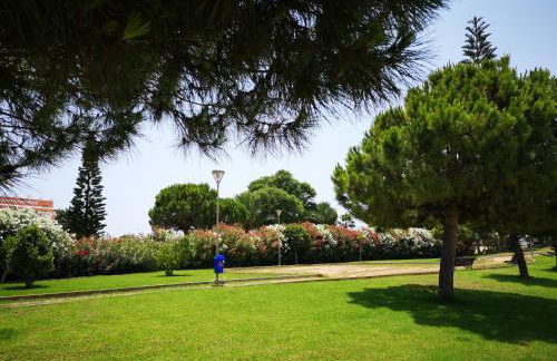 Bungalow en Punta Prima 2 dormitorios y piscina - Foto 16