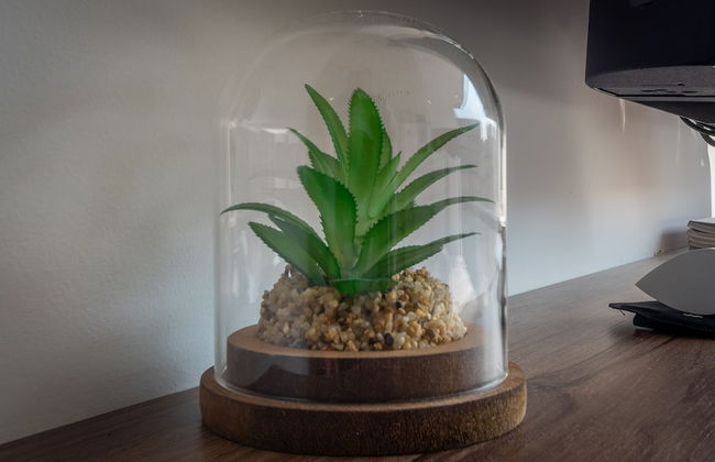 Capital by Wynwood House - Foto 35