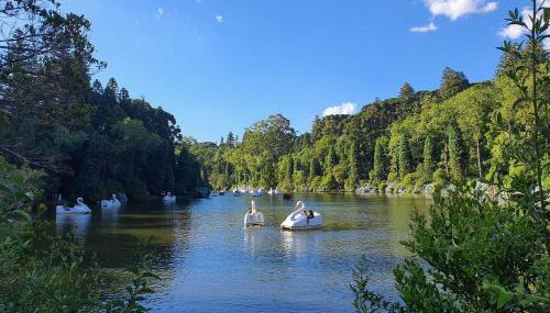 Apartamento Refúgio do Ipê em Gramado - Próximo ao Lago Negro - Foto 4