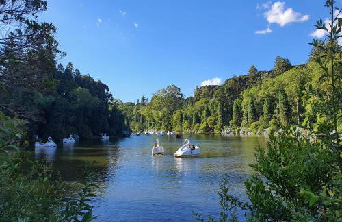 Apartamento Refúgio do Ipê em Gramado - Próximo ao Lago Negro - Photo 4
