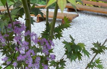 "Ferienwohnung Naturliebe - grünes Paradies im Zentrum - Foto 11