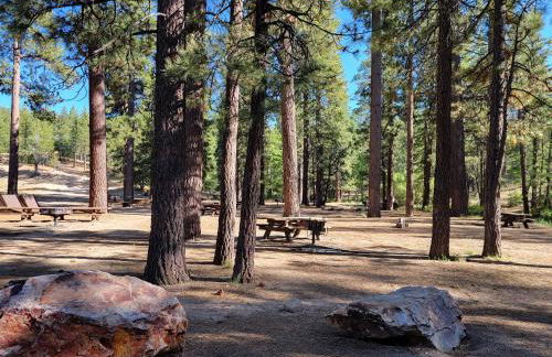 Four Seasons Getaway-Private Hot Spa with Pine Tree Views-Walk to Village and Pineknot Trailhead-Plus King Bed! - Photo 45