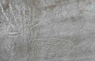 Cozy Home Between Zion & Bryce - Photo 44