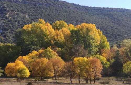 Spa y Casa Rural Rio Dulce - Foto 8