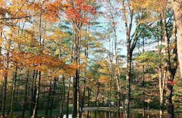 Historic Renovated Barn at Boorn Brook Farm - Manchester Vermont - Photo 11