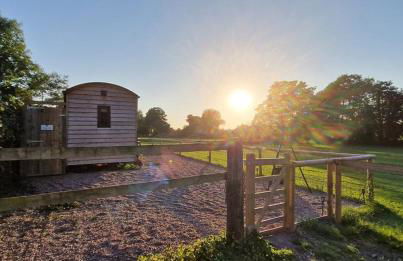 Cosy Owl - Shepherds Hut - Foto 44
