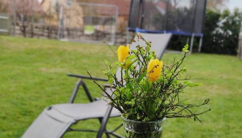 Ferienwohnung Stahl - Foto 4, Garden