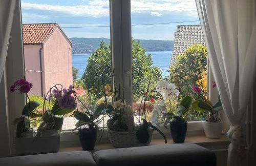 Apartman Nono - Foto 8