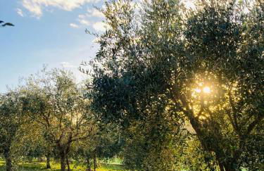 Le Miromar - Foto 71