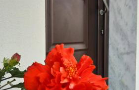 Sunny Siviri - Foto 18