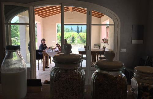 Agriturismo Tra gli Ulivi, Chiappini Winery - Photo 42