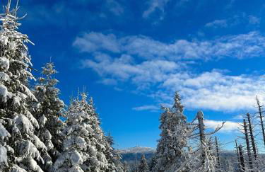 Ferienhaus Isabel mit Pool und Garten Nähe Quedlinburg - Foto 11