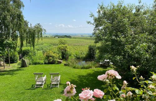 Traumblick Rebenmeer - Foto 1