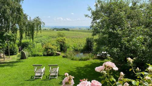 Traumblick Rebenmeer - Foto 1