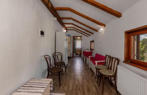 Gorgeous Home In Ravna Gora With Wifi - Foto 12