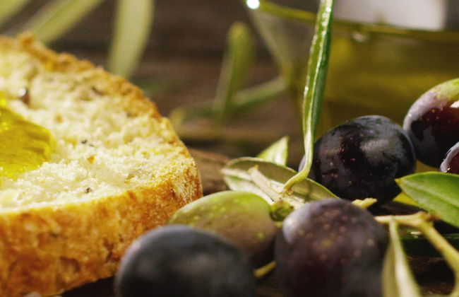 Cata de aceites de Jaén - Foto 9